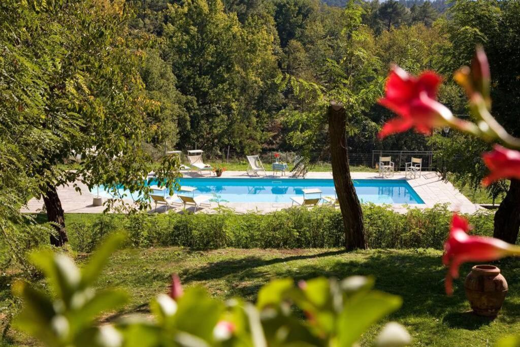 Villa Liz Tuscany, Private Pool, Hot Tub, Property Fenced, Pets Allowed Поппи Экстерьер фото